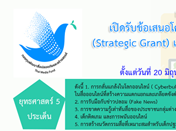 Strategic Grant 2019