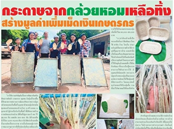 “กระดาษจากกล้วยหอมทอง”
นวัตกรรมแปรรูปจากวัสดุเหลือทิ้งทางการเกษตร
โดย อาจารย์ ดร.ภานุ พัฒนปณิธิพงศ์
นักวิจัยคณะศิลปกรรมศาสตร์
มหาวิทยาลัยราชภัฏสวนสุนันทา