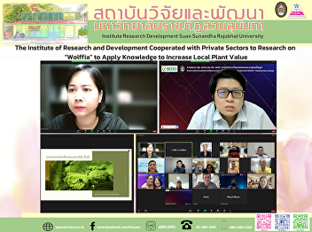 The Institute of Research and
Development Cooperated with Private
Sectors to Research on “Wolffia” to
Apply Knowledge to Increase Local Plant
Value
